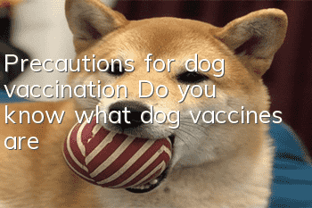 Precautions for dog vaccination Do you know what dog vaccines are?