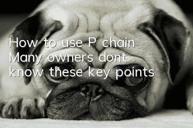 How to use P chain Many owners don’t know these key points
