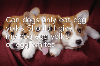 Can dogs only eat egg yolks? Should I give my dog egg yolks or egg whites?