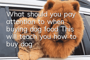 What should you pay attention to when buying dog food? This will teach you how to buy dog food!