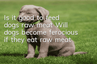 Is it good to feed dogs raw meat? Will dogs become ferocious if they eat raw meat?