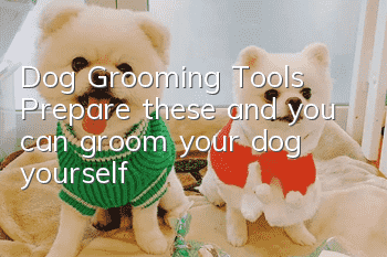Dog Grooming Tools: Prepare these and you can groom your dog yourself!