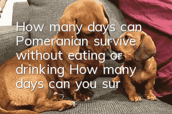 How many days can Pomeranian survive without eating or drinking? How many days can you survive without eating?