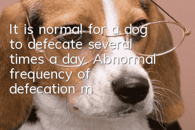It is normal for a dog to defecate several times a day. Abnormal frequency of defecation may mean there is something wrong with the body.