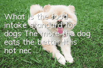 What is the food intake standard for dogs? The more the dog eats, the better it is not necessarily the better it will grow.