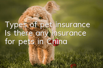 Types of pet insurance Is there any insurance for pets in China?
