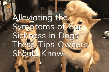 Alleviating the Symptoms of Car Sickness in Dogs: These Tips Owners Should Know
