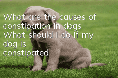 What are the causes of constipation in dogs? What should I do if my dog is constipated and can’t defecate?