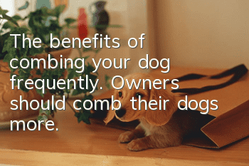 The benefits of combing your dog frequently. Owners should comb their dogs more.