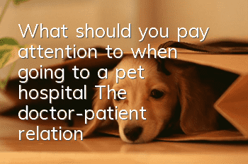 What should you pay attention to when going to a pet hospital? The doctor-patient relationship is very important
