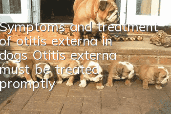Symptoms and treatment of otitis externa in dogs Otitis externa must be treated promptly