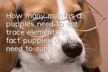 How many months do puppies need to eat trace elements? In fact, puppies do not need to supplement trace elements.