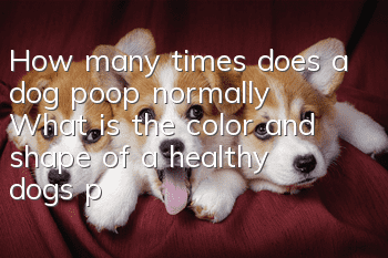How many times does a dog poop normally? What is the color and shape of a healthy dog’s poop?