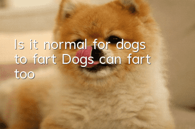 Is it normal for dogs to fart? Dogs can fart too