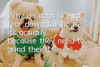 Why do dogs like to tear down the house? It’s actually because they need to grind their teeth