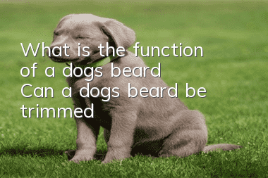 What is the function of a dog’s beard? Can a dog’s beard be trimmed?