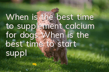 When is the best time to supplement calcium for dogs? When is the best time to start supplementing calcium for dogs?