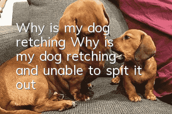 Why is my dog retching? Why is my dog retching and unable to spit it out?