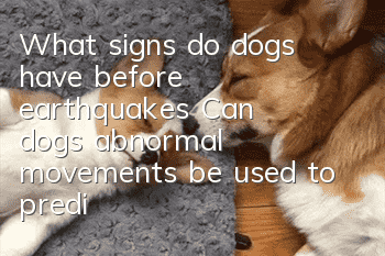 What signs do dogs have before earthquakes? Can dogs’ abnormal movements be used to predict earthquakes?