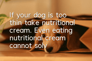 If your dog is too thin, take nutritional cream. Even eating nutritional cream cannot solve the fundamental problem!