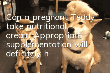 Can a pregnant Teddy take nutritional cream? Appropriate supplementation will definitely help with nutrition during pregnancy.