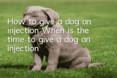 How to give a dog an injection? When is the time to give a dog an injection?