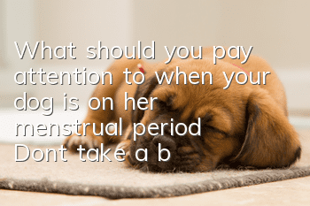 What should you pay attention to when your dog is on her menstrual period? Don’t take a bath as soon as she is dirty during her menstrual period.