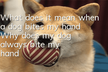 What does it mean when a dog bites my hand? Why does my dog always bite my hand?