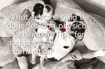 What tests should be done for dog physical examination? Tips for dog physical examination