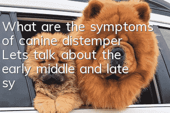 What are the symptoms of canine distemper? Let’s talk about the early, middle and late symptoms of canine distemper.