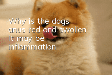 Why is the dog's anus red and swollen? It may be inflammation!