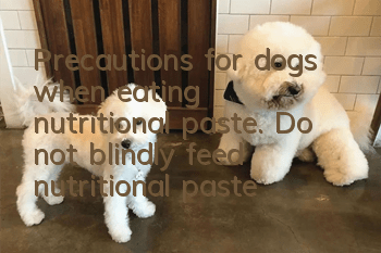 Precautions for dogs when eating nutritional paste. Do not blindly feed nutritional paste to dogs.