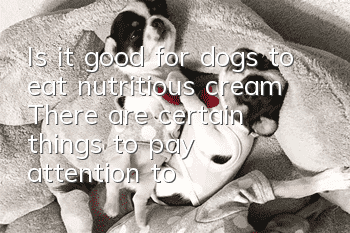 Is it good for dogs to eat nutritious cream? There are certain things to pay attention to when choosing nutritious cream.