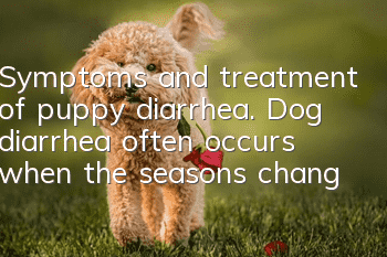Symptoms and treatment of puppy diarrhea. Dog diarrhea often occurs when the seasons change.