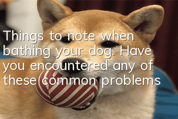 Things to note when bathing your dog. Have you encountered any of these common problems?