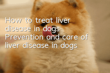 How to treat liver disease in dogs Prevention and care of liver disease in dogs