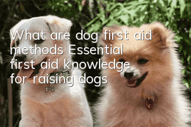 What are dog first aid methods? Essential first aid knowledge for raising dogs