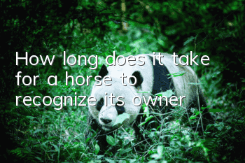 How long does it take for a horse to recognize its owner?