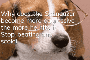 Why does the Schnauzer become more aggressive the more he hits it? Stop beating and scolding the Schnauzer casually!