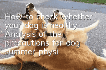 How to check whether your dog is healthy? Analysis of the precautions for dog summer physical examination