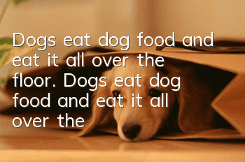 Dogs eat dog food and eat it all over the floor. Dogs eat dog food and eat it all over the floor.
