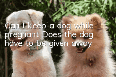Can I keep a dog while pregnant? Does the dog have to be given away?