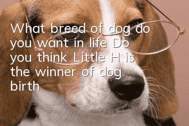 What breed of dog do you want in life? Do you think Little H is the winner of dog birth?