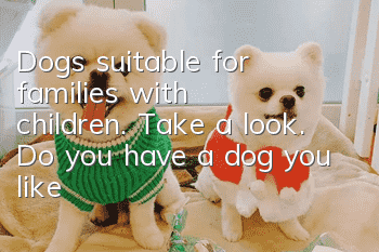 Dogs suitable for families with children. Take a look. Do you have a dog you like?