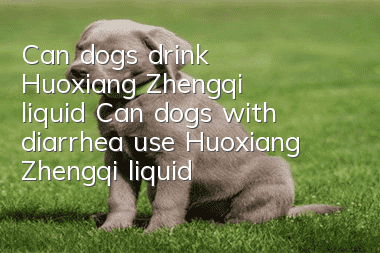 Can dogs drink Huoxiang Zhengqi liquid? Can dogs with diarrhea use Huoxiang Zhengqi liquid?
