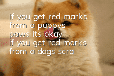 If you get red marks from a puppy's paws, it's okay if you get red marks from a dog's scratches but the skin is not broken!