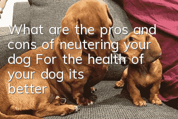 What are the pros and cons of neutering your dog? For the health of your dog, it’s better to neuter it
