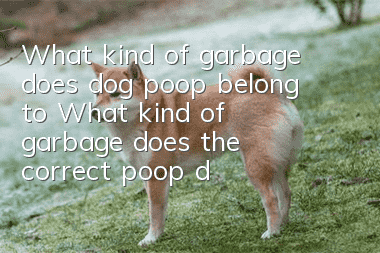 What kind of garbage does dog poop belong to? What kind of garbage does the correct poop dog products belong to?