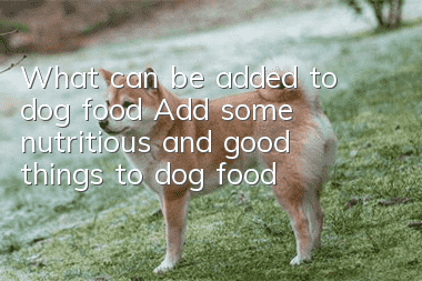 What can be added to dog food? Add some nutritious and good things to dog food!