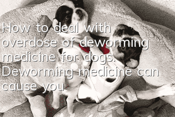 How to deal with overdose of deworming medicine for dogs. Deworming medicine can cause you to overfeed it and take it too!